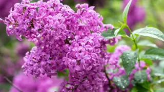 Аптап және найзағай: 24 мамырға арналған Қазақстандағы ауа райы болжамы