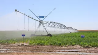 Жамбыл облысында республикалық және жергілікті бюджет есебінен 14 су қойманың құрылысы жүзеге асады