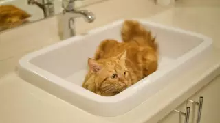 Алматының бірнеше шағынауданында су болмайды