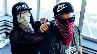 Туристер жиі тоналатын орындар аталды