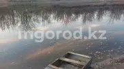 Ақтөбе облысында екі бала суға батып кетті