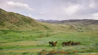 Қазақстанда бүгін ауа райы қандай болады?