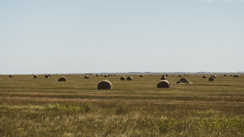 Фото ©️ Tengrinews.kz / Тұрар Қазанғапов