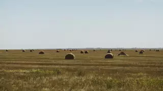 Ноғаев Израиль көлеміндей болатын жердің жағдайы туралы айтты