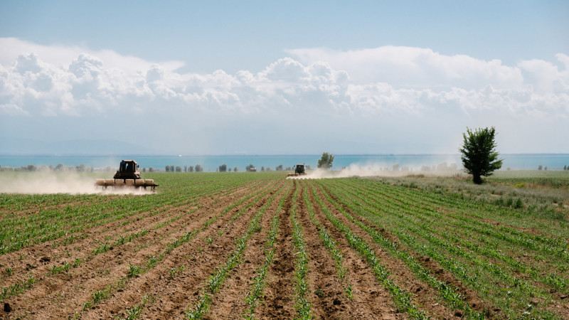 Фото ©️ Tengrinews.kz / Тұрар Қазанғапов