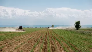 Қазақстанның бірнеше өңірінде маусымда құрғақшылық болуы мүмкін