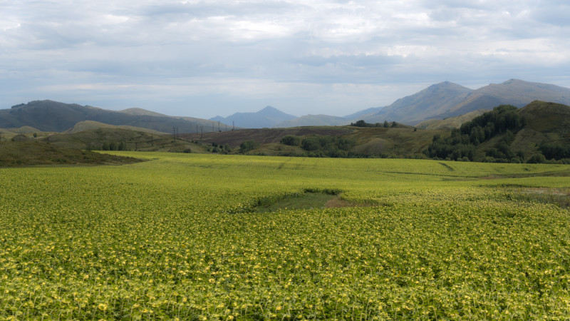 Фото ©️ Tengrinews.kz / Тұрар Қазанғапов