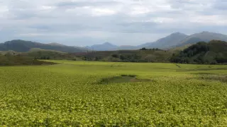 42 градус аптап: Қазақстандағы 7 маусымға арналған ауа райы болжамы