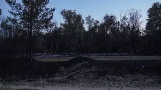 Абай облысындағы 14 қызметкердің өлімі: сотқа дейінгі тергеу басталды