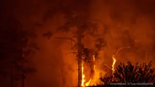 Қазақстанда бүгін аза тұту күні: Қырғызстан президенті Тоқаевқа көңіл айтты