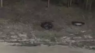 Абай облысында ықтимал өрт қою нұсқасы тергеліп жатыр