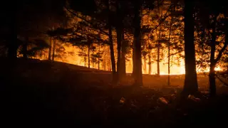 Ердоған Тоқаевқа телефон соқты