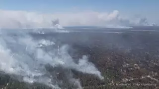 Екі орманшы иіс тиіп уланып қалған - Абай облысы әкімі