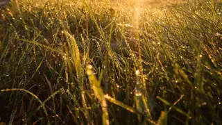 Аптап, найзағай және тұман: Қазақстандағы 14 маусымға арналған ауа райы болжамы