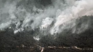 ТЖМ Абай облысындағы өртті сөндіру бойынша болжамды мерзімді атады