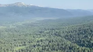 Шығыс Қазақстан облысындағы қорықтан шыққан өрт оқшауланды