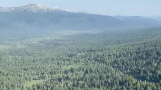 Қатон-Қарағай ұлттық паркінде өрт толықтай сөндірілді - ШҚО ТЖД