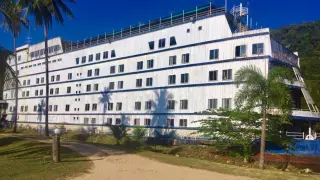 Ну орманның ортасындағы бүтін кеменің сыры қандай?