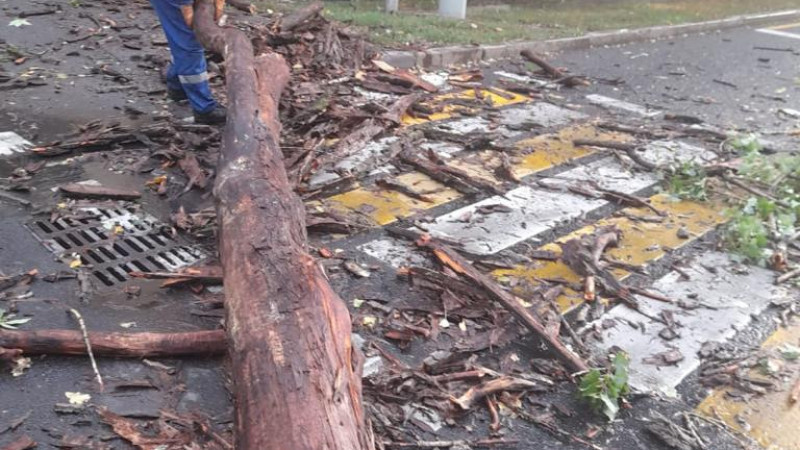 Фото: Алматы әкімдігінің баспасөз қызметі