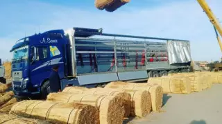 Қыз өзін еркелетіп, зорлықпен сипалайды. Онлайн көру.