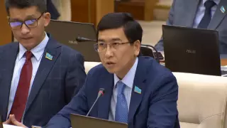 Мәжілісмен Үкіметті депутаттардың қызметіне араласты деп айыптады