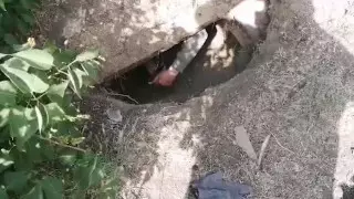 Полицейлер Бестөбе кентіндегі жұмыс істемейтін шахталарға заңсыз кіру дерегін анықтады