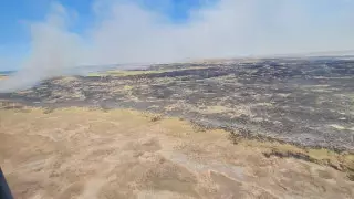 Алматы облысындағы өрт аумағы 100 гектарға дейін азайтылды