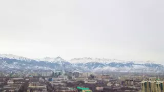 Антикор Алматыдағы жер қатынастары саласындағы қылмыстық істер туралы айтты