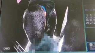 Лифтіде оқушы қызға тиіскен: Қарағандыда қылмыстық іс тоқтатылды