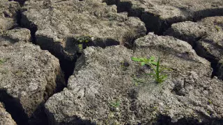 Қазақстанның екі өңірінде құрғақшылық болуы мүмкін