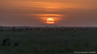 Қазақстанның бүкіл өңірінде ауа райына байланысты ескерту жарияланды