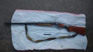 Түркістан облысында ер адам құстарды атамын деп жасөспірімді мерт қылды