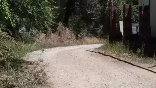 Алматы облысында жолды өз бетінше жөндеген зейнеткерге айыппұл салынды