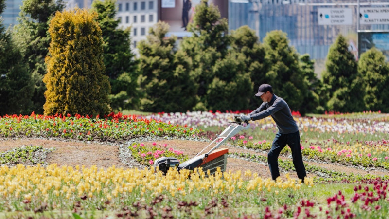 Фото ©️ Tengrinews.kz / Әлихан Сариев