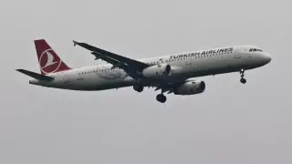 Turkish Airlines жолаушысы ұшақта отырып өзіне қол салды