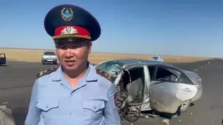 Алматы облысында жол апатынан 5 адам қаза тапты