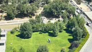 Алматыда көпірді жөндеу жұмыстарына байланысты саябақ жойылып кетуі мүмкін