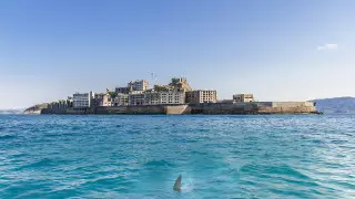 Нью-Йорк жағажайында акула әйелге шабуыл жасады