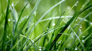 Қазақстанда алдағы күндері ауа райы қандай болады?