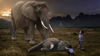 Тайландта пілге мінбеңіз: оның үш себебі бар