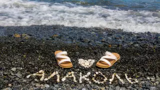 Алакөл көлінің жағасындағы туристтік демалыс аймақтарын салуға арналған жерлер мемлекет меншігіне қайтарылды