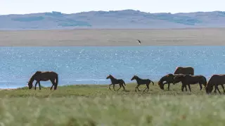 Қар және тұман: Қазақстанда ауа райы қандай болады?