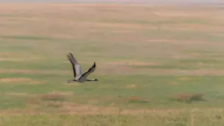 Найзағай және тұман: 18 тамыздағы ауа райы болжамы