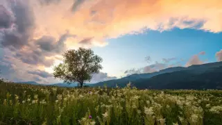 21 тамызда бірнеше өңірде қатты ыстық болады