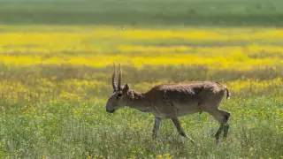 Жаңбыр және 9 градусқа дейін суық: 24 тамызда Қазақстанда ауа райы қандай болады?