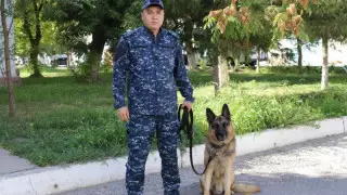 Шымкентте ағасы есірткі шекпе деп ақыл айтқан інісін пышақтап қашып кеткен