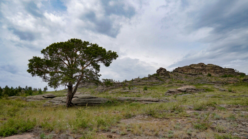 Фото ©️ Tengrinews.kz / Тұрар Қазанғапов