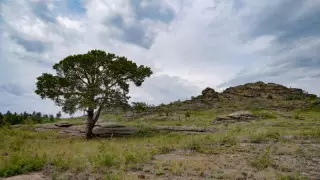 Қар, тұман: 1 қыркүйекте Қазақстанда ауа райы қандай болады?