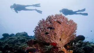 Теңіз түбінде 60 сағат жатқан ер адам қалай аман қалды?