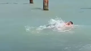 Каспий теңізінде екі ер адамға итбалық шабуылдады